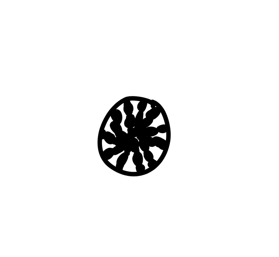 Shell Coaster