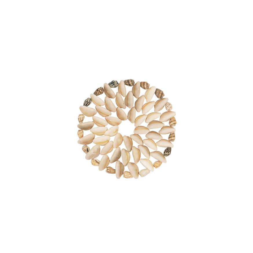 Shell Coaster