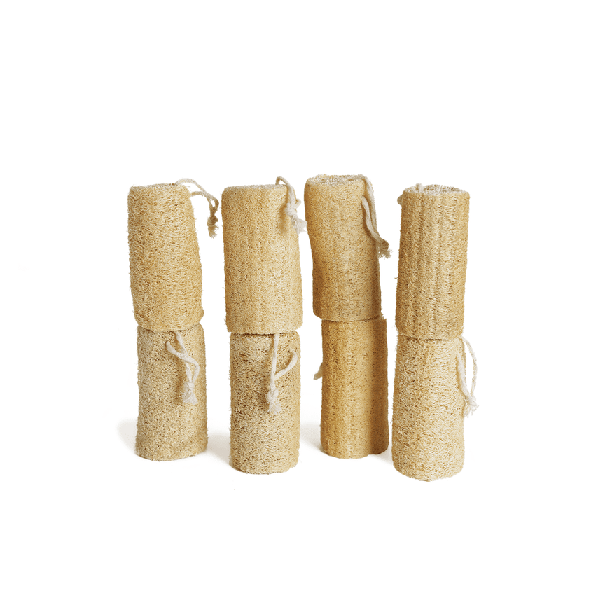 LUFFA Sponge.