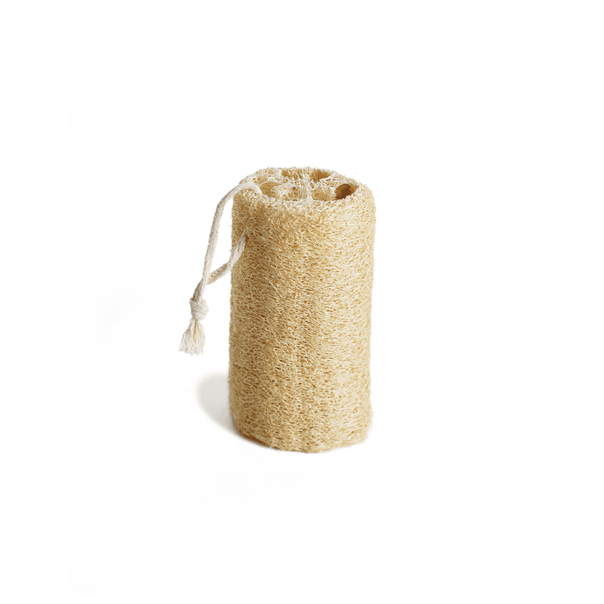 LUFFA Sponge.