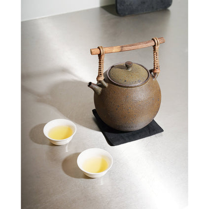 Taiwanese Purion Clay Teapot Teekanne 800ml