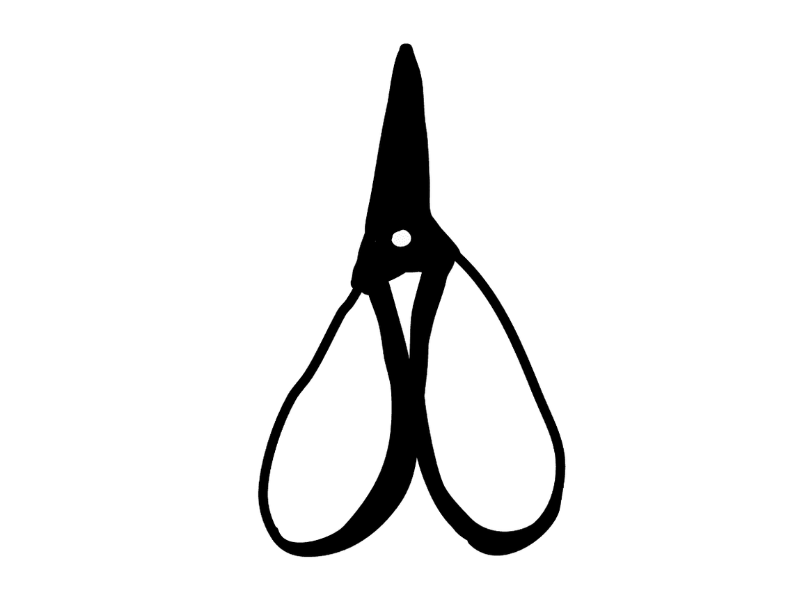 IRON scissor.