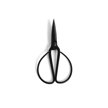 IRON scissor.